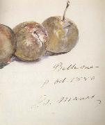 Edouard Manet Lettre avec trois prunes (mk40) oil on canvas